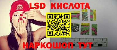 гидра Кимры