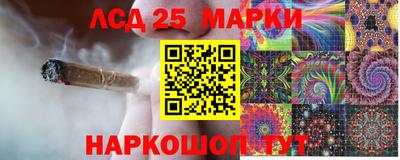 гидра Кимры
