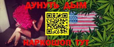 спиды Кингисепп