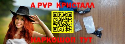 спиды Кингисепп