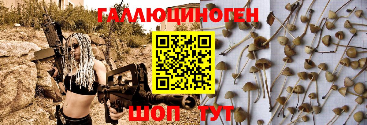Псилоцибиновые грибы Cubensis Комсомольск-на-Амуре