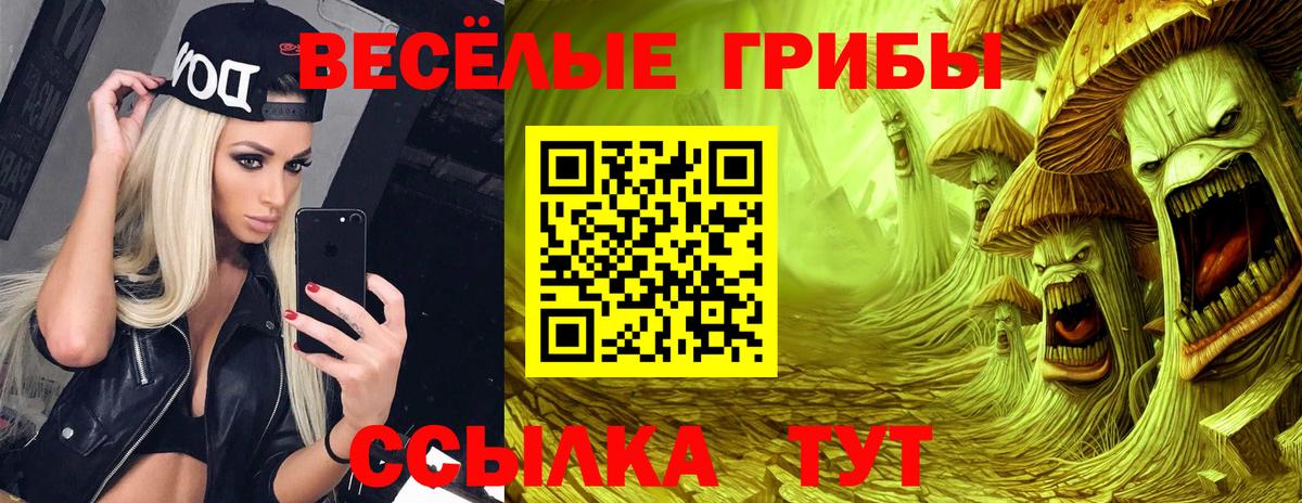 Галлюциногенные грибы прущие грибы  Галлюциногенные грибы прущие грибы  Вход с VPN  Комсомольск-на-Амуре 